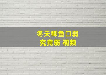 冬天鲫鱼口弱 究竟弱 视频